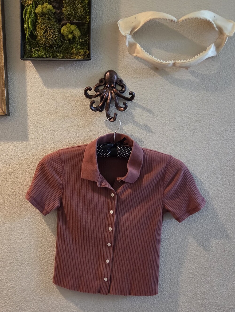 Abercrombie & Fitch Ribbed Button-Front Polo Top in Dusty Rose, Size Small